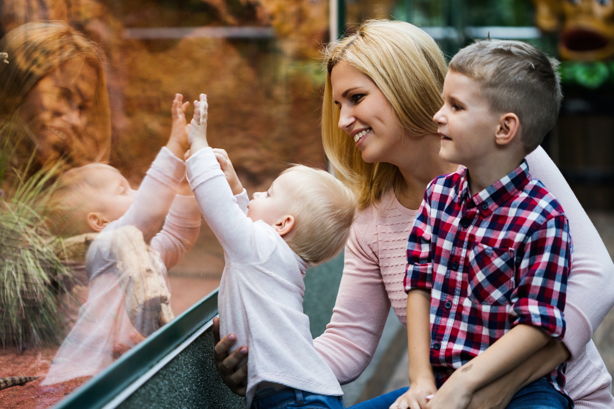 tourists-watching-the-insect-in-terrarium-at-zoo.jpg